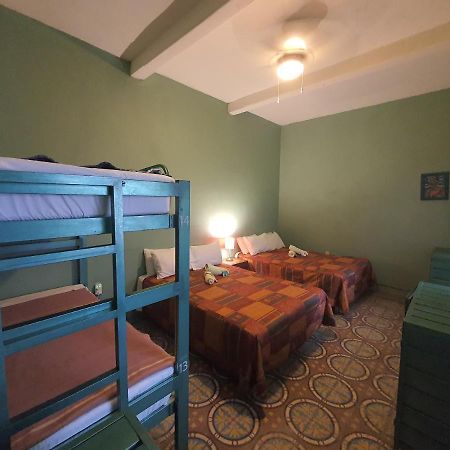 Hierba De Conejo Hostel 오아하카주 외부 사진