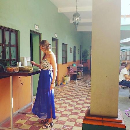 Hierba De Conejo Hostel 오아하카주 외부 사진