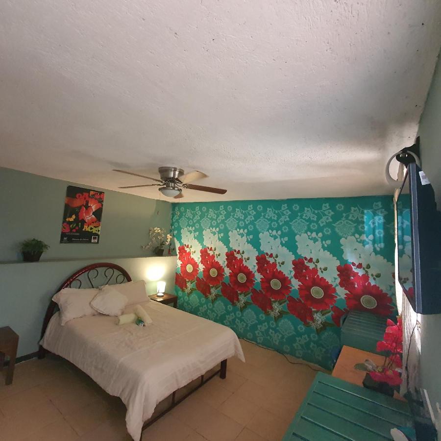 Hierba De Conejo Hostel 오아하카주 외부 사진
