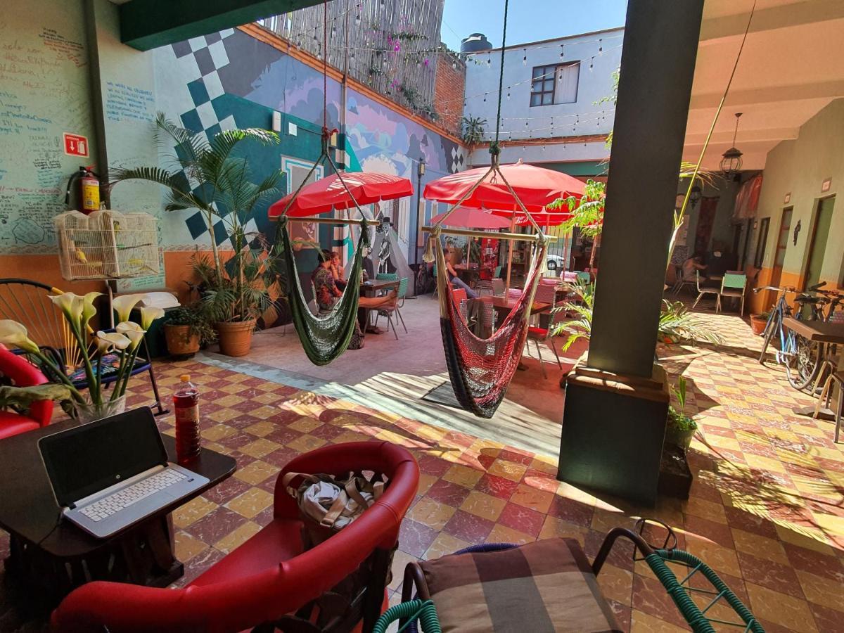 Hierba De Conejo Hostel 오아하카주 외부 사진