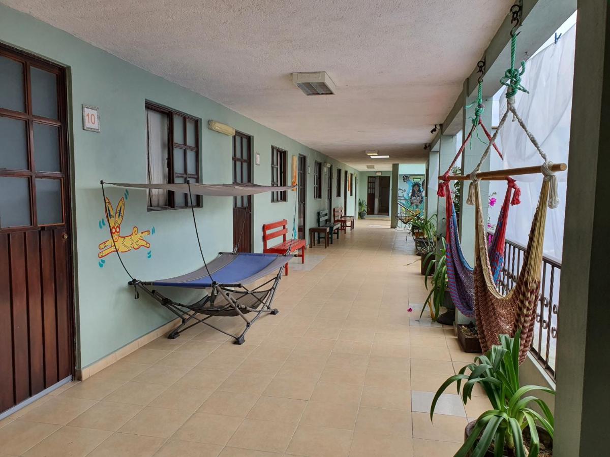 Hierba De Conejo Hostel 오아하카주 외부 사진