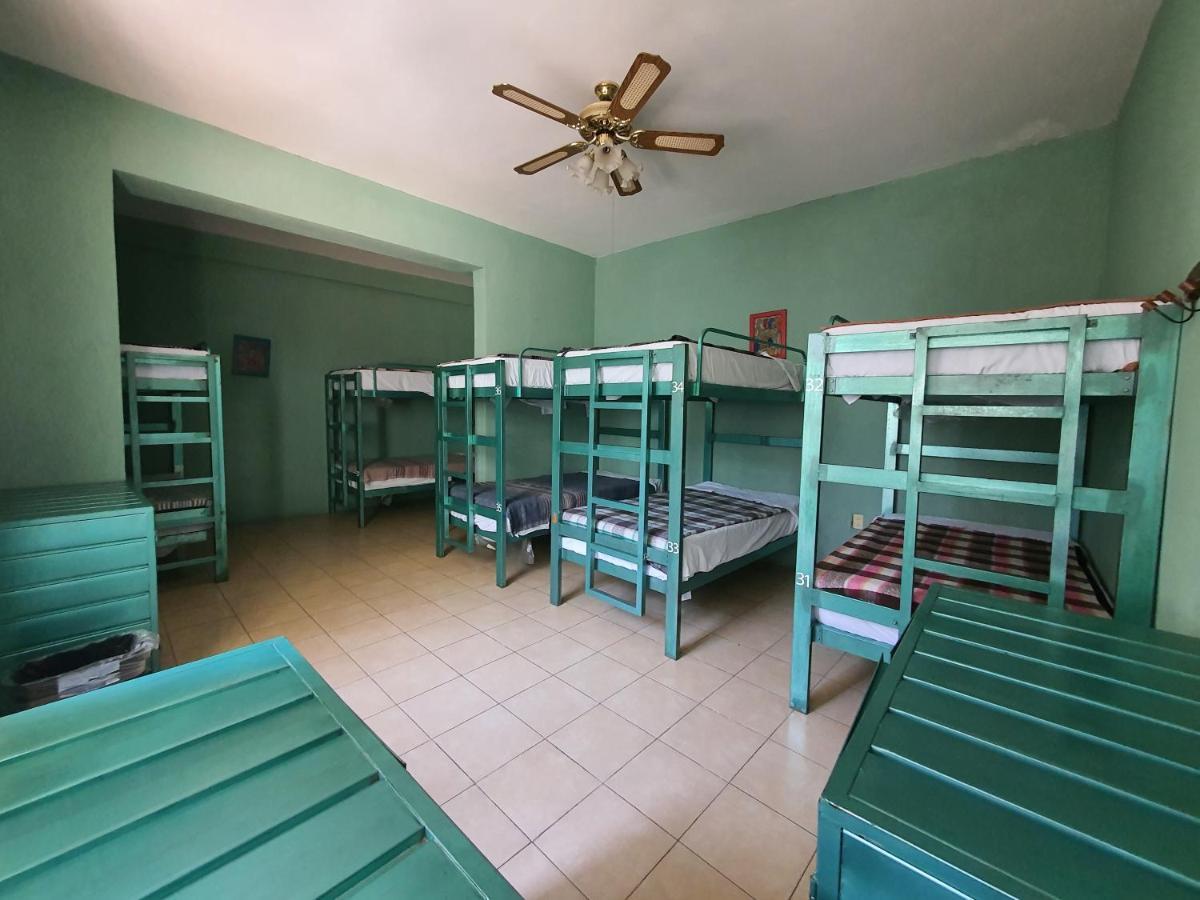 Hierba De Conejo Hostel 오아하카주 외부 사진