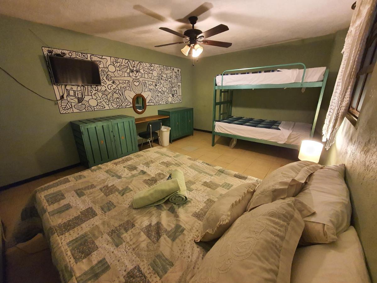Hierba De Conejo Hostel 오아하카주 외부 사진