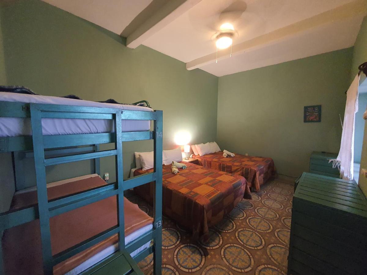 Hierba De Conejo Hostel 오아하카주 외부 사진