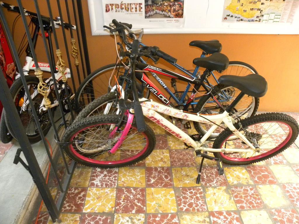 Hierba De Conejo Hostel 오아하카주 외부 사진