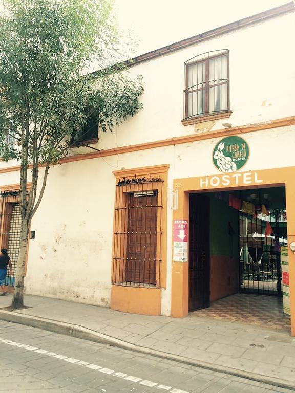 Hierba De Conejo Hostel 오아하카주 외부 사진
