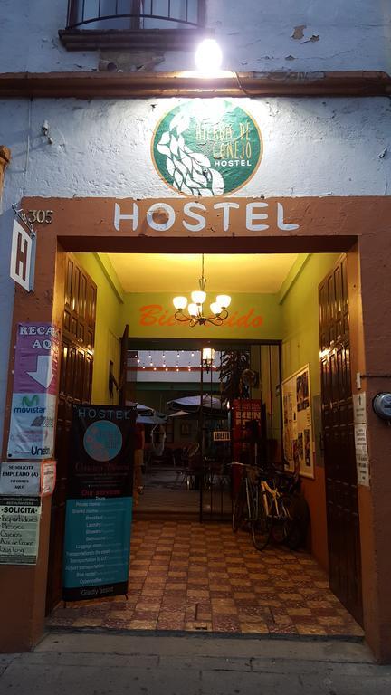 Hierba De Conejo Hostel 오아하카주 외부 사진