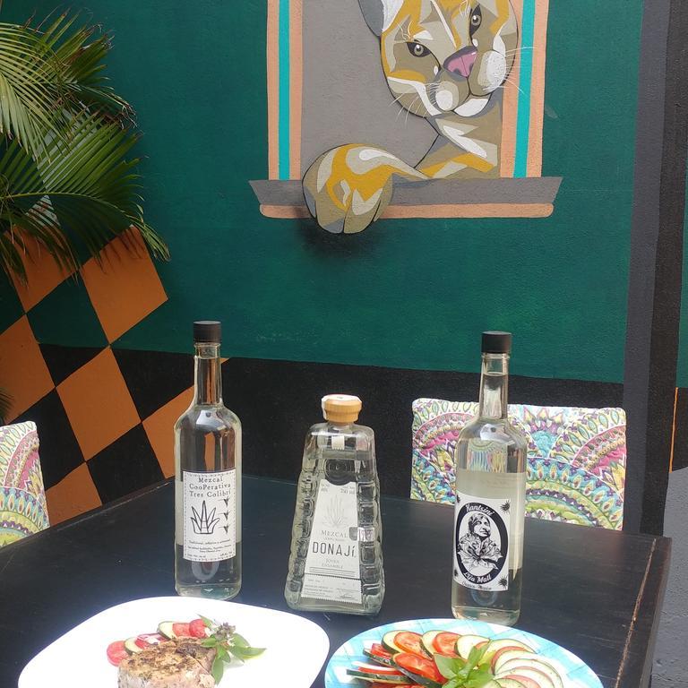 Hierba De Conejo Hostel 오아하카주 외부 사진