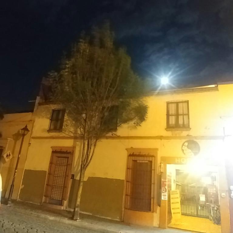 Hierba De Conejo Hostel 오아하카주 외부 사진