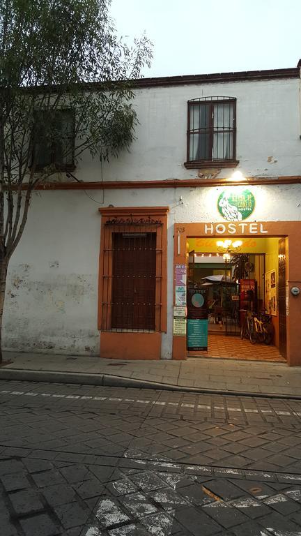 Hierba De Conejo Hostel 오아하카주 외부 사진